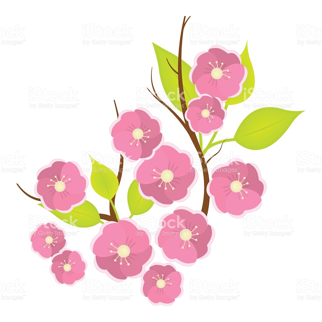 1024x1024 Sakura Clipart Cartoon