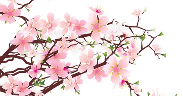 600x315 Branch Clipart Sakura