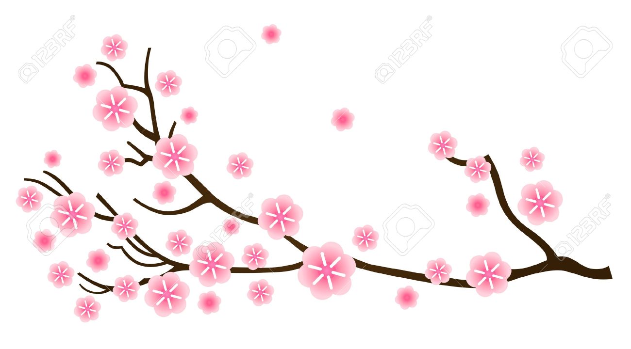 1300x720 Cherry Blossom Clipart Sakura Flower
