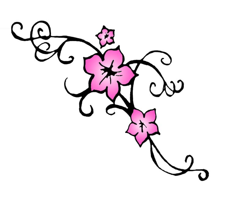 736x643 34 Best Cherry Blossom Tattoo Drawings Images Black