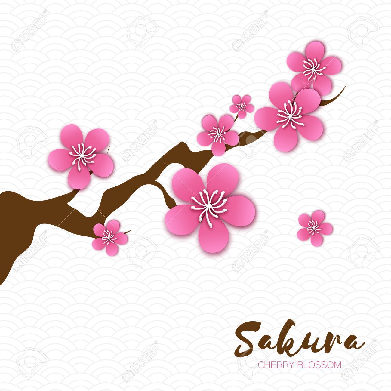 1300x1300 Spring Cherry Blossom. Pink Beautiful Sakura Branch