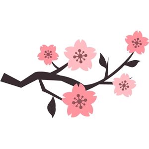 300x300 36 Best Cherry Blossoms Everywhere Images Drawings