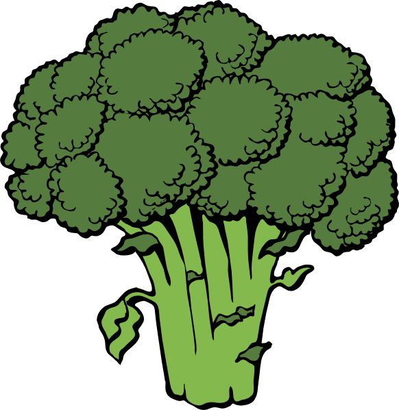 582x598 Broccoli Salad Clipart
