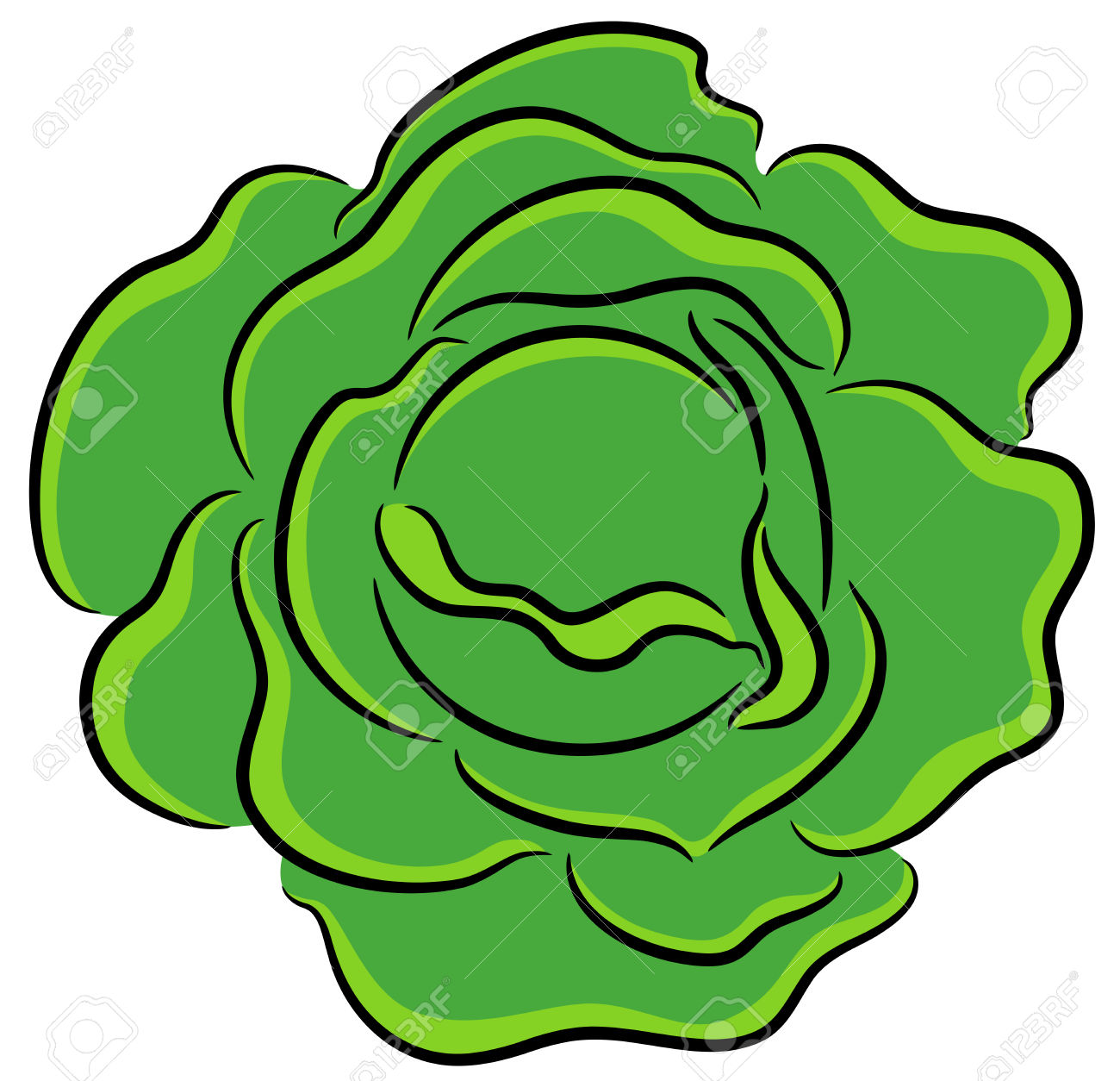 1300x1254 Cabbage Clipart Green Salad