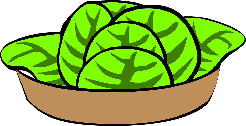 960x491 Lettuce Salad Clipart, Explore Pictures