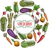 170x166 Napa Cabbage Clip Art