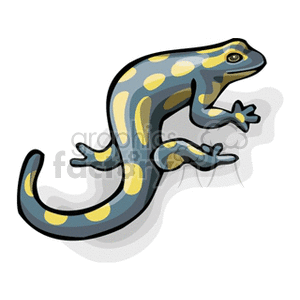 300x300 Royalty Free Blue Gray Salamander With Yellow Spots 129917 Vector