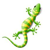 170x170 Salamander Clip Art