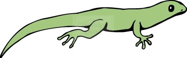 379x118 Salamander Clipart Clipart Panda