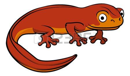 450x266 Salamander Clipart