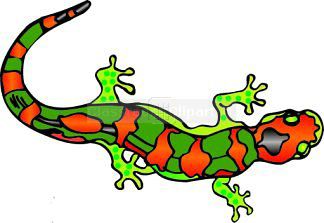 324x223 Salamander Clipart