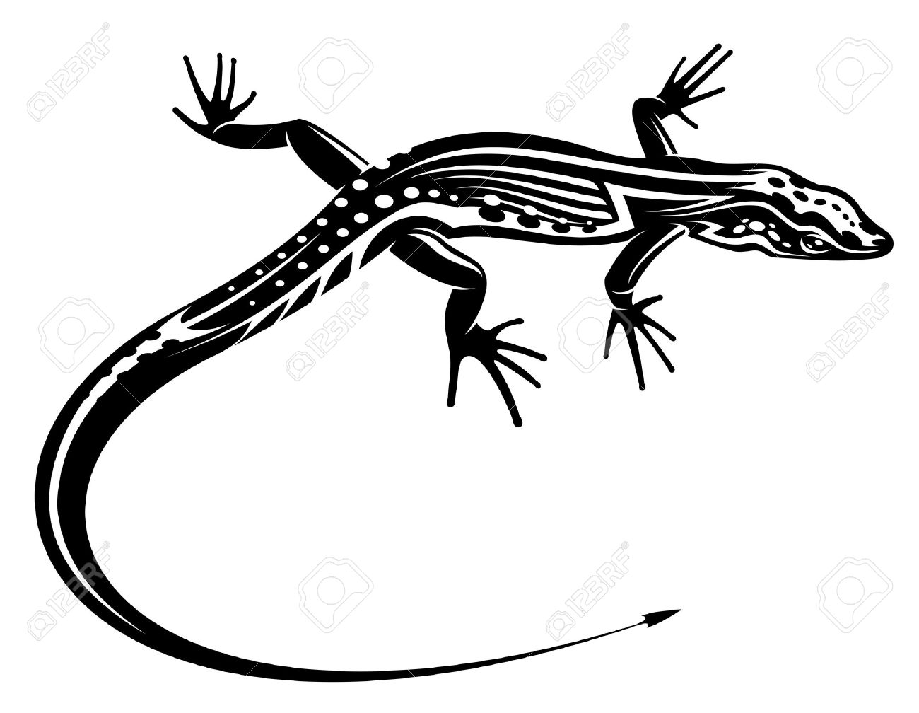 1300x1008 Salamander Clipart Black And White