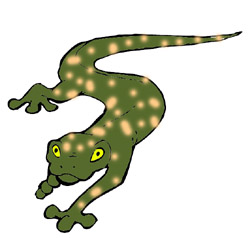 250x238 Salamander Clipart Newt
