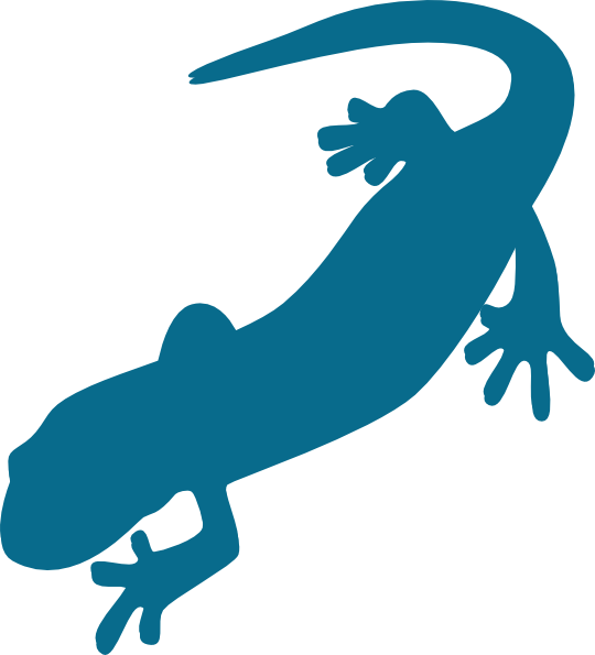 540x595 Blue Salamander Clip Art
