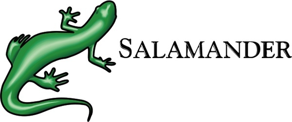 600x252 Salamander Free Vector Download (10 Free Vector) For Commercial