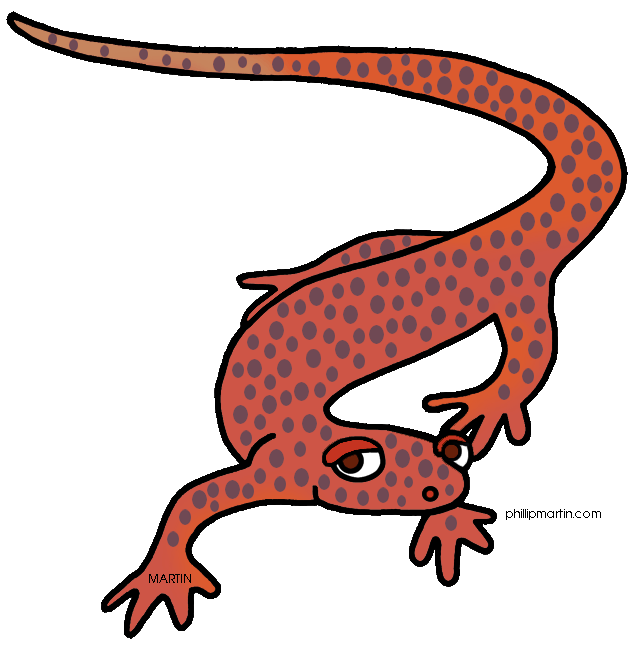 642x648 Top 88 Salamander Clipart