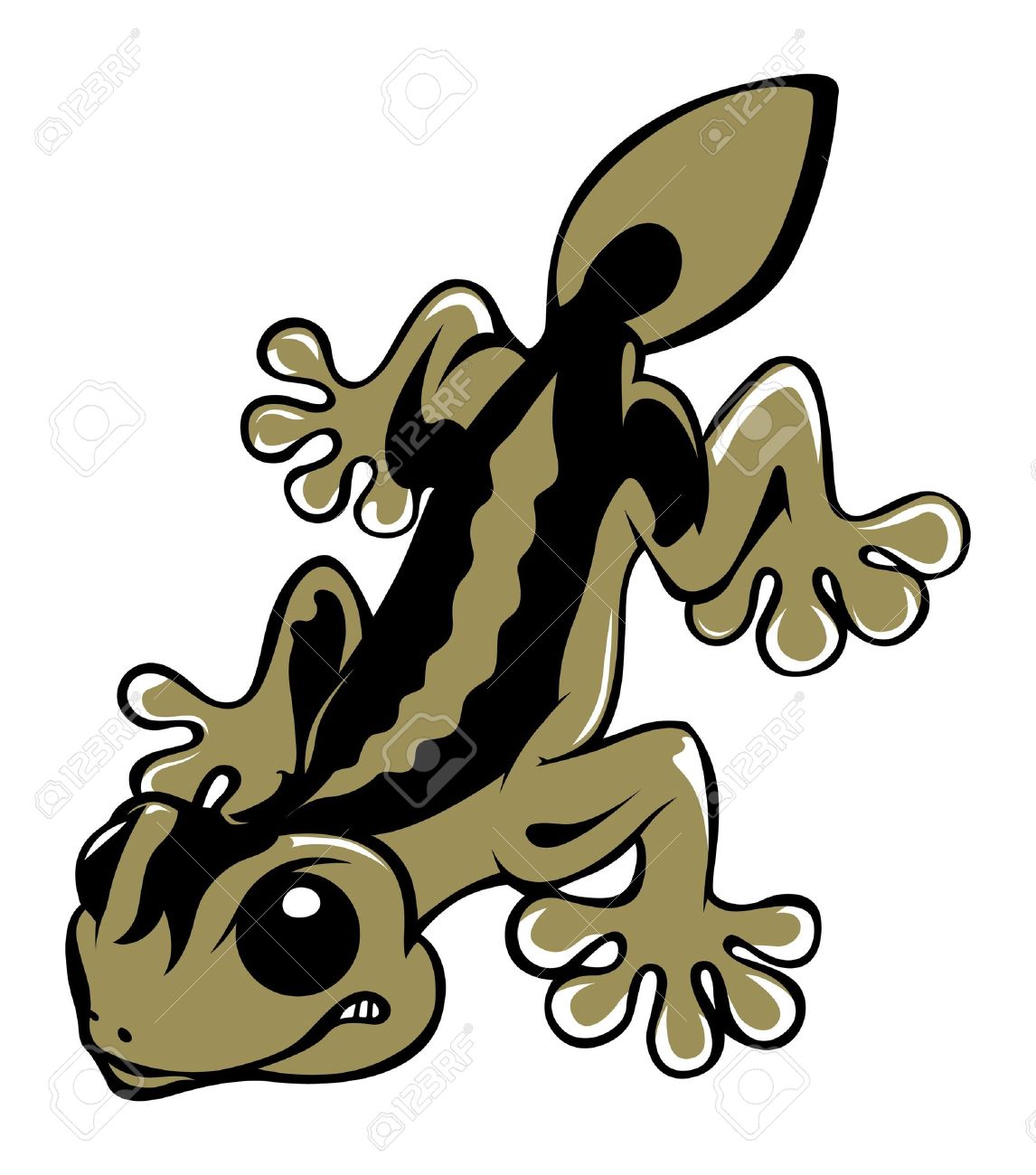 1146x1300 Top 88 Salamander Clipart