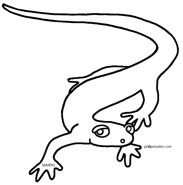 642x648 Salamander Clip Art