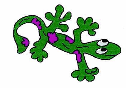 421x296 Salamander Clip Art