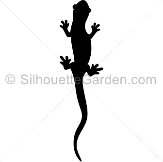 336x334 Salamander Clip Art