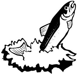 264x254 Salmon Clip Art 2 Image