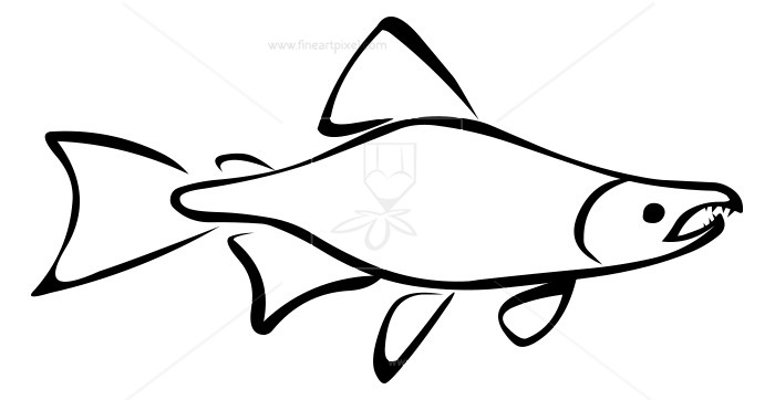 700x362 Salmon Clipart Outline