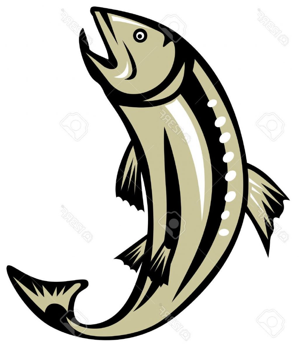 1024x1190 Unique Trout Jumping Stock Vector Salmon Fishing File Free