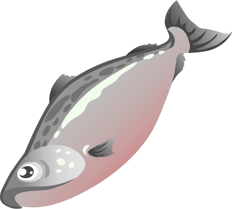 800x720 Salmon Clip Art 2 Wikiclipart