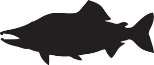 300x127 Salmon Silhouette Clipart 4
