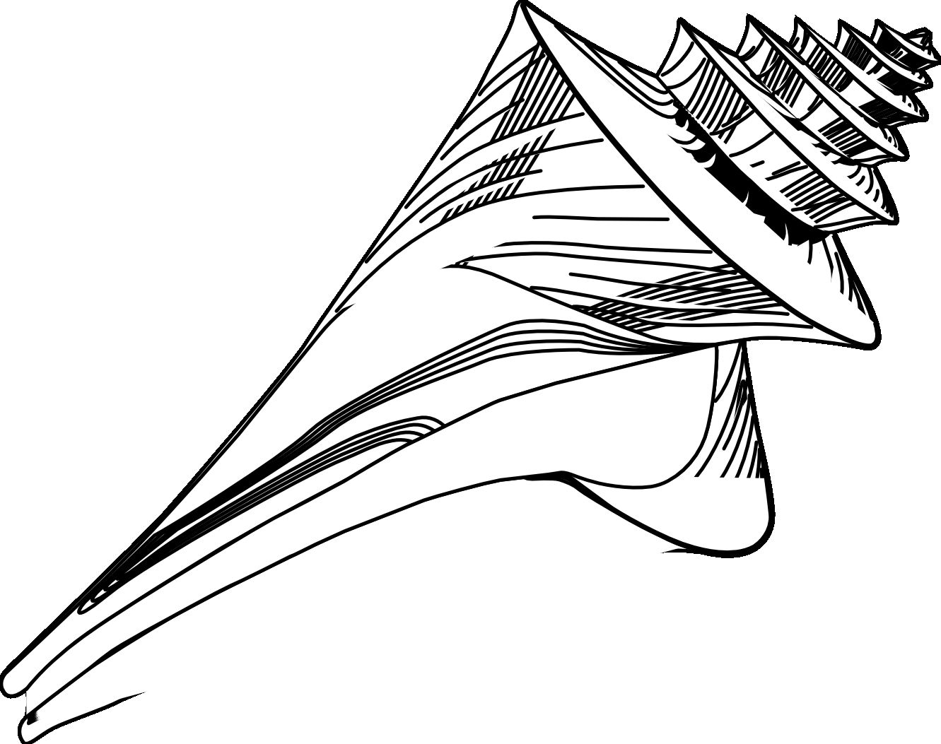1331x1053 Outline Sea Shell Clipart