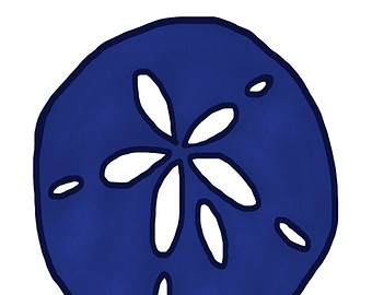 340x270 Sand Dollar Clipart 3