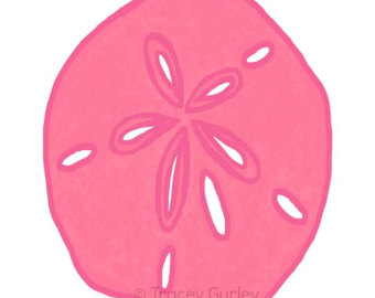 340x270 Sand Dollar Art Sand Dollar Photography Wall Art Beach