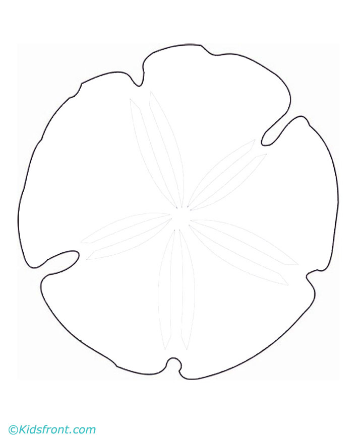 720x880 Coloring Page Of A Sand Dollar ~ Alltoys