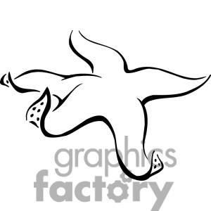 300x300 22 Best Sand Dollarnchor Tattoo Flash Images