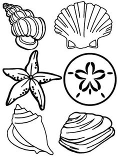 236x314 Drawn Shell Coloring Page