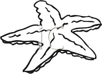350x252 Starfish Clipart Black And White Clipart Panda