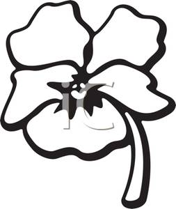 253x300 Shell Clipart Pansy