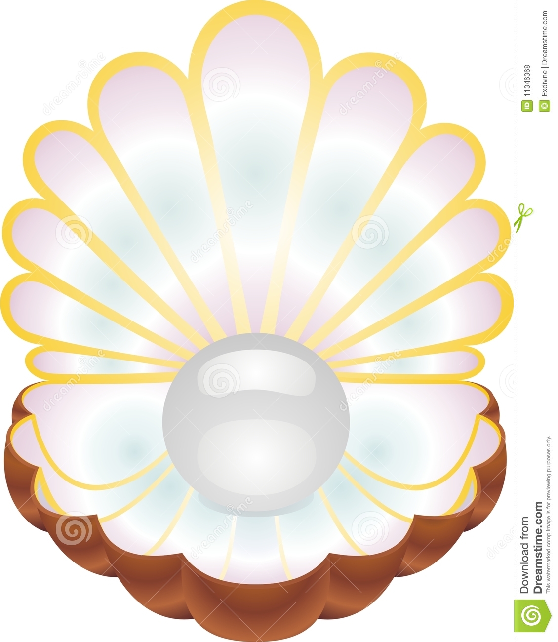 1130x1300 Clipart Sand Dollar Clipart Panda