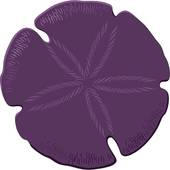 170x170 Clipart Of Sand Dollar Sand Dlr