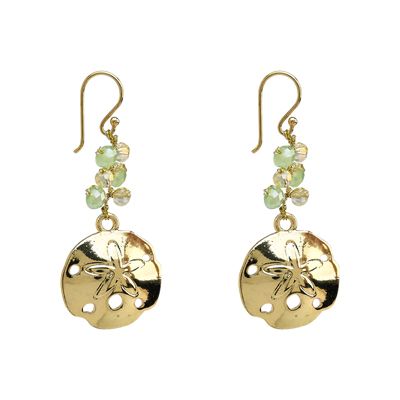 400x400 20 Best Visions Of Sand Dollars Images Sand Dollars