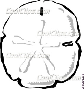 284x300 Sand Dollars Vector Clip Art