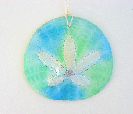 561x480 79 Best Sand Dollars Images Beach, Shells And Drawing