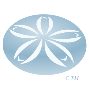 300x300 Sand Dollar Doves (@sanddollardoves) Twitter