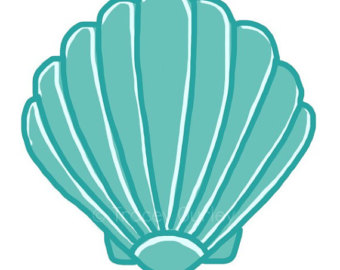 340x270 Turquoise Clipart Sand Dollar