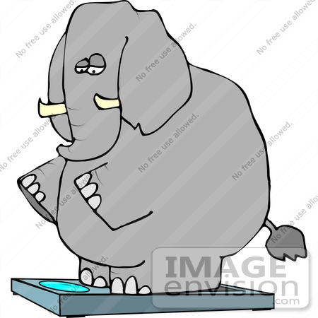450x450 Elephant On A Scale Clipart