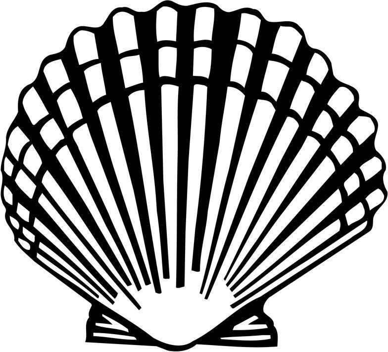 Scallop Border Clipart Free download on ClipArtMag.