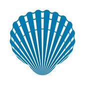 170x170 Scallop Clip Art