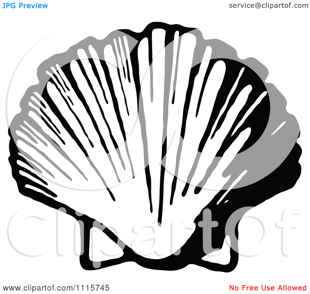 1080x1024 Clip Art Scallop Shell Clip Art