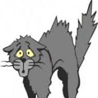 200x200 Scared Cat Clipart
