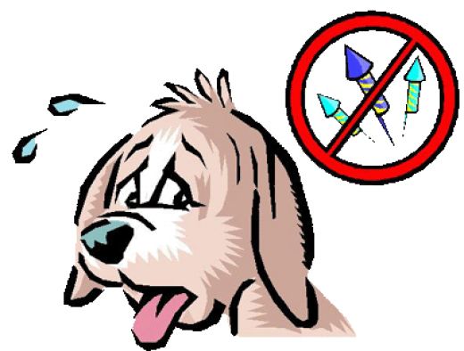 520x394 Keep Your Dogs Safe During Diwali Perfect Pooch